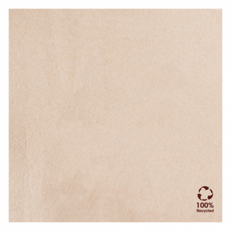 Guardanapos "Double Point" Ecolabel 33X33Cm 50Unid          