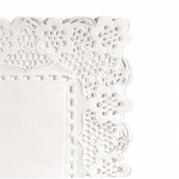 [107.30133] Naperon Retangular 30X18 Cm Branco  (250 Unid.)             