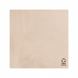 [963.191.09] Guardanapo "Double Point" Ecolabel  20X20Cm  100Unid        
