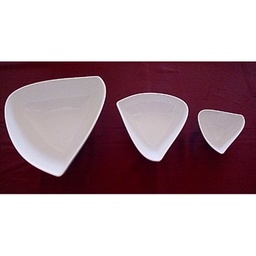 [107.516431] Saladeira Triangular.Med.Home Hot                           