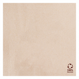 [963.191.10] Guardanapos "Double Point" Ecolabel 33X33Cm 50Unid          