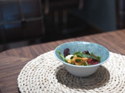 [603.0012300814980] Altea Bowl Ø17X6,5Cm 600Cc Natural Sea Porvasal             