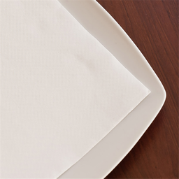 [963.138.12] Guardanapos Ecolabel Double Point 20X20Cm 100 Unid.         