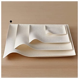 [107.209.82] Placas Kaku S  Bionic 8X1,7 Cm White Bagazo 100 Unid.       