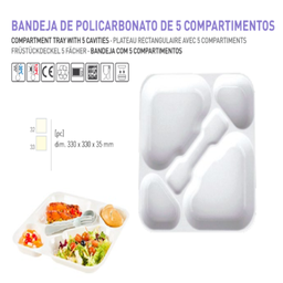[107.436.00202] Bandeja Em Policarbonato 5 Div. 330X330X35Mm                