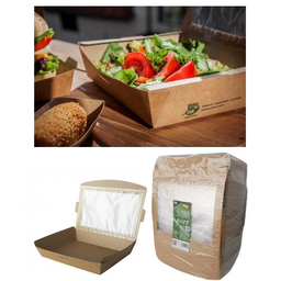 [107.439.87253] Caixa C/Janela De Pla Rectangular 1500Ml 21X16X4,5Cm 40 Unid