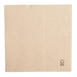 [963.232.06] Guardanapos Natural Tissue Reciclado 30X30Cm 50 Unid.       