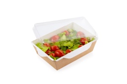 [107.1531035010] Saladeira Eco Kraft C/Tp. Pet 800Ml 20,7X12,7X5,5Cm Pack 50 