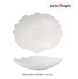 [880.P997059] Saladeira Cantabro Ø24X5.5Cm  Purasangre                    