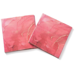 [963.127031513] Guardanapos 33X33Cm Folha Dupla Estampados 20Un             